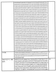 Figure 0007438604000018