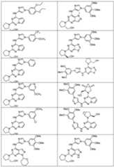 Figure imgf000715_0001