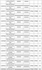 Figure BDA0003817829470000871