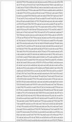 Figure BDA0002508391090001231