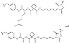 Figure imgf000334_0001