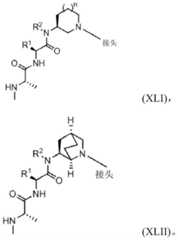 Figure BDA0003027048450000541