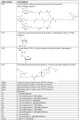 Figure imgf000146_0001