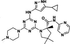 Figure GPA00001066806500951