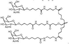 Figure imgf000020_0001