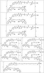 Figure BDA0003285627320001211