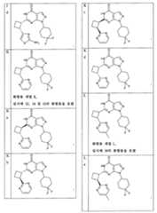 Figure 112013003750924-pct00023