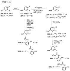 Figure 112006077693653-pct00031