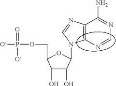 Figure US08680069-20140325-C00090