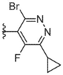 Figure imgf000204_0001