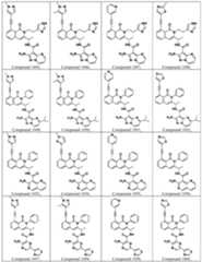 Figure imgf000081_0001