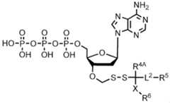 Figure imgf000219_0002