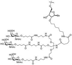 Figure imgf000164_0001