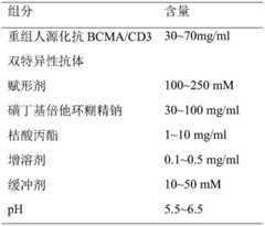 Figure BDA0003147976650000031