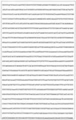 Figure 108128641-A0202-12-0117-965