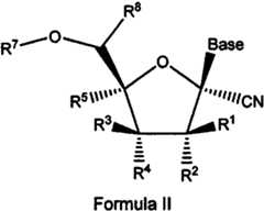 Figure imgf000011_0002