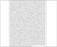 Figure imgf000076_0002