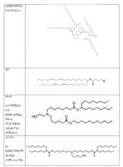 Figure 2024542085000008