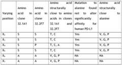 Figure imgf000028_0001