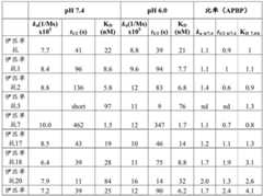 Figure BDA0003396385390000362
