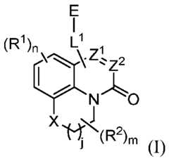 Figure imgf000003_0001