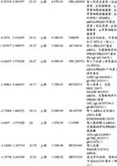 Figure BPA00001280678301141