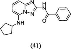 Figure GPA00001035513100822
