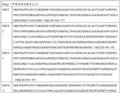 Figure BDA0004078918960000891