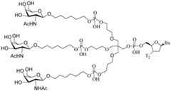 Figure imgf000148_0001