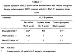 Figure imgf000048_0001
