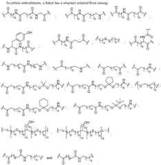 Figure imgf000061_0001