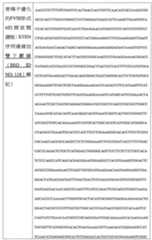 Figure 108128641-A0202-12-0109-957