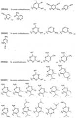 Figure imgf000098_0001