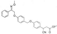 Figure imgf000010_0001