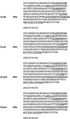 Figure BPA00001431277700451