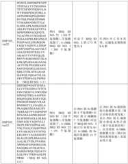 Figure BDA0002939076220001901