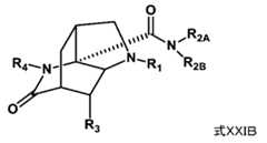 Figure JPOXMLDOC01-appb-C000011