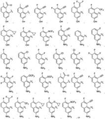 Figure imgf000050_0001