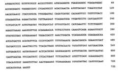 Figure 941026922_IMG3