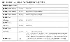 Figure 0007483732000049