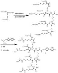 Figure BDA0003670511740004561