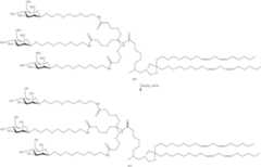 Figure US09220683-20151229-C00392