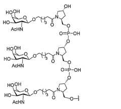 Figure 0007429103000092