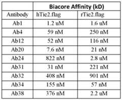 Figure imgf000111_0001