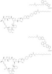 Figure US11364300-20220621-C00212