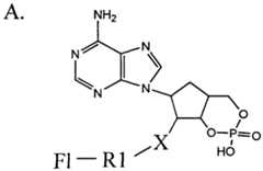 Figure imgf000023_0001