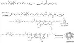 Figure BDA0002715678860000101