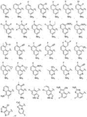 Figure imgf000351_0001