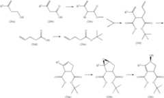 Figure US08637663-20140128-C00039