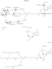 Figure US10793862-20201006-C00161